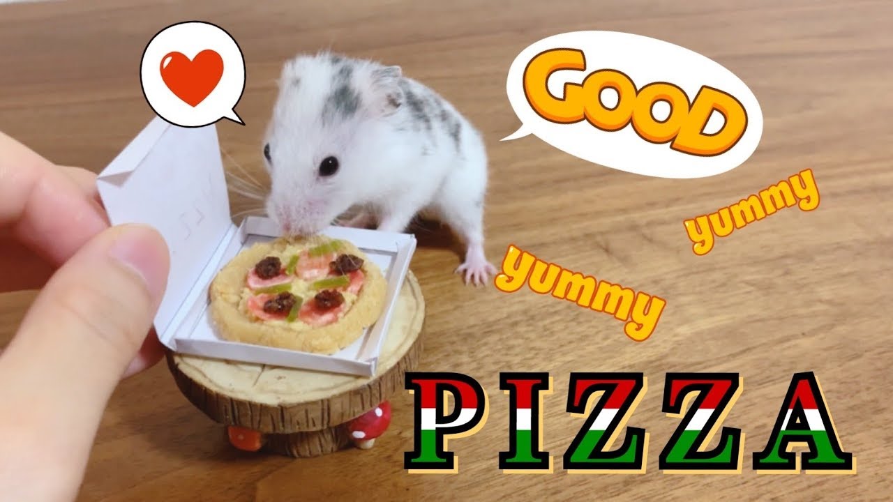 ハムスターに宅配ピザ届けてみた♪Hamster Eats Tiny Pizza!! YouTube
