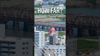 How far? – Osaka Doggo Billboard #zoomtest