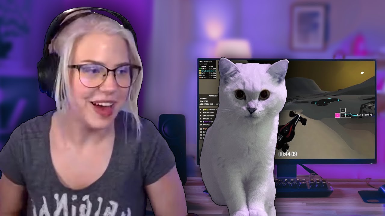 What gaming with a cat looks like - YouTube