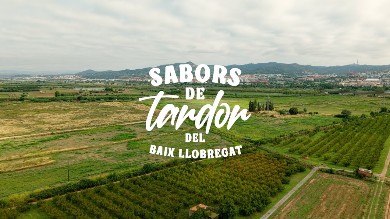 Sabors de tardor