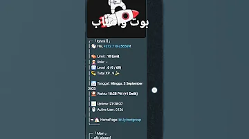 بوت واتساب 