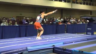 CJ Maestas - Vault - 2015 Winter Cup Prelims
