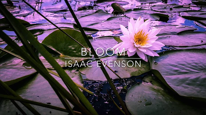 Bloom by Isaac Evenson