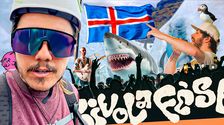 delirio in Islanda per il SiVolaFést 🇮🇸 con i Pinguini Tattici Nucleari!