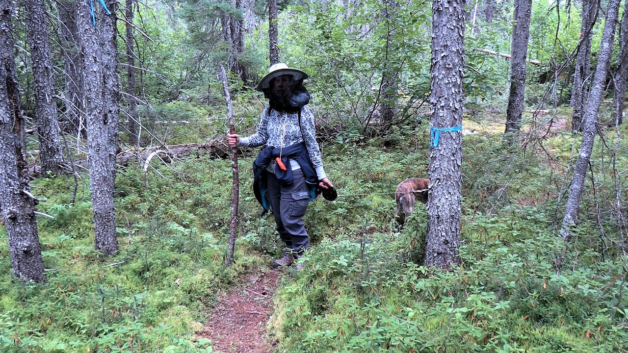 010 Labrador... Goose Bay and North West River