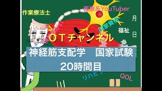 神経筋支配学（国家試験/共通）　20時間目「作業療法士（OT）の為の国家試験対策」