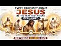 Every Prophecy About Jesus In The New Testament Explained: The Timeline No One Shows You