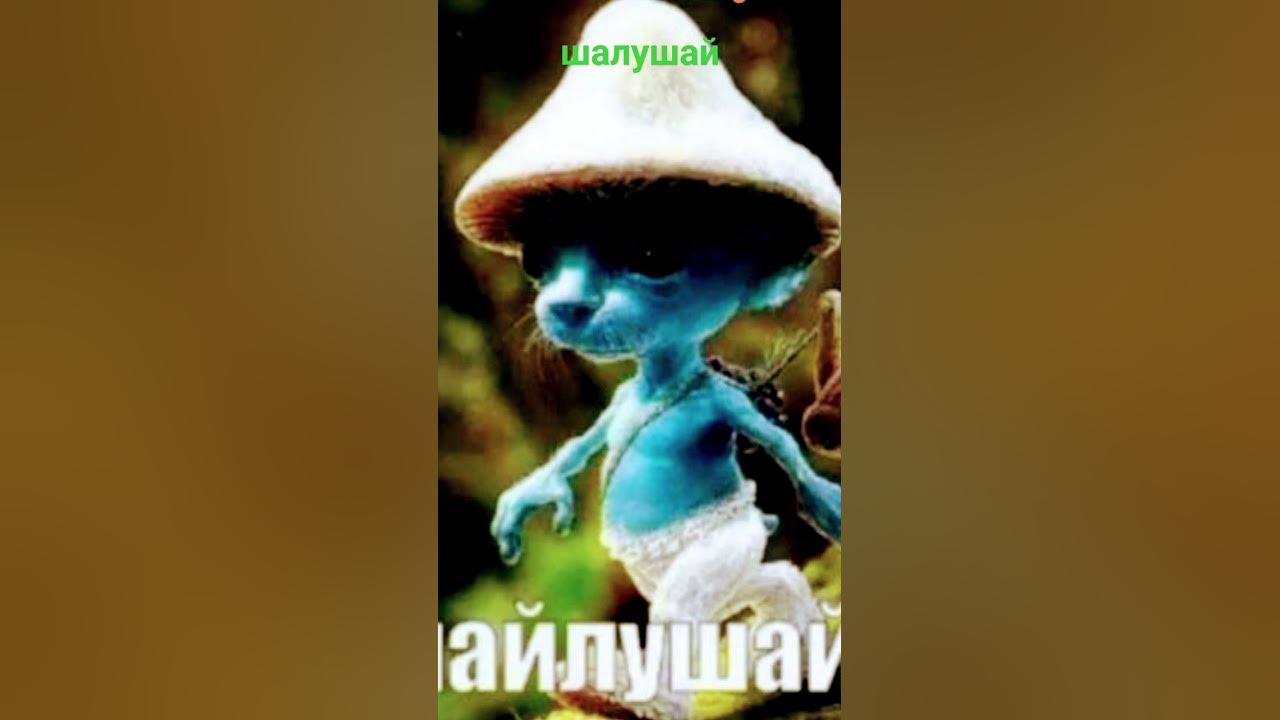 шалушай - YouTube