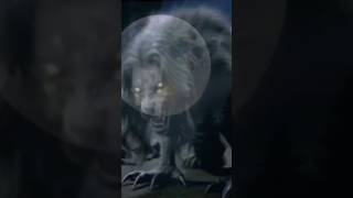Download Lagu Werewolf transformation #werewolf #werewolves #shorts MP3