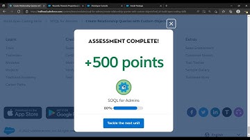 Salesforce Trailhead - Create Relationship Queries with Custom Objects