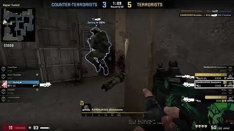 Ace using just P90 [CSGO]
