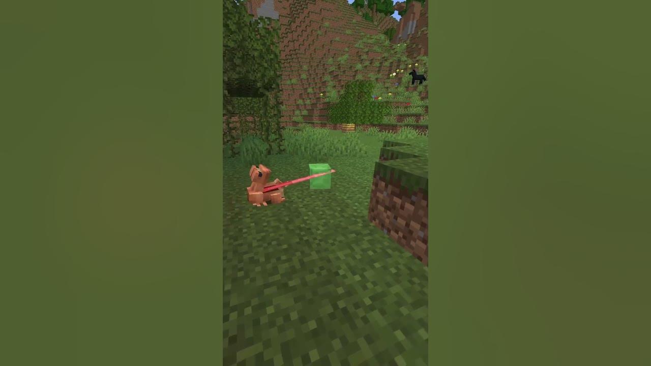 What do frogs eat in Minecraft? - YouTube