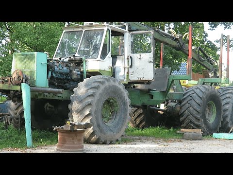 Video: Parasiidi Täielik Mitokondriaalne Genoom Loomade Ja Seente Piiril