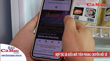 Chuyển đổi số: Hợp tác xã kiểu mới tiên phong chuyển đổi số