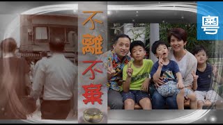 電視節目 TV1580 不離不棄 (HD粵語) (台灣系列)