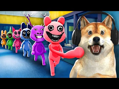 ESSE HOSPITAL ESTÁ CHEIO DE ANOMALIAS... (Animal Hospital)