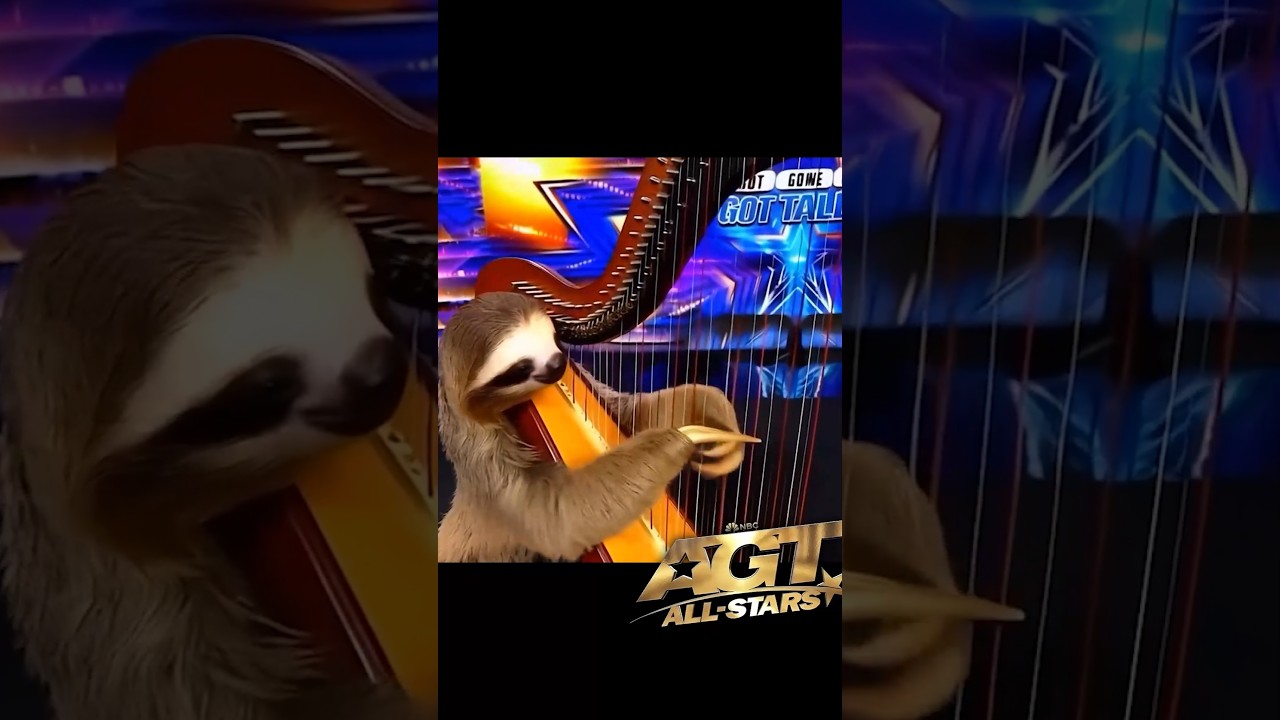 Incredible Intelligence! Sloth Plays ‘Happy Birthday’ on the Harp