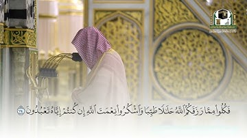 يَومَ تَأتي كُلُّ نَفسٍ تُجادِلُ عَن نَفسِها .. القارئ عبدالمحسن القاسم