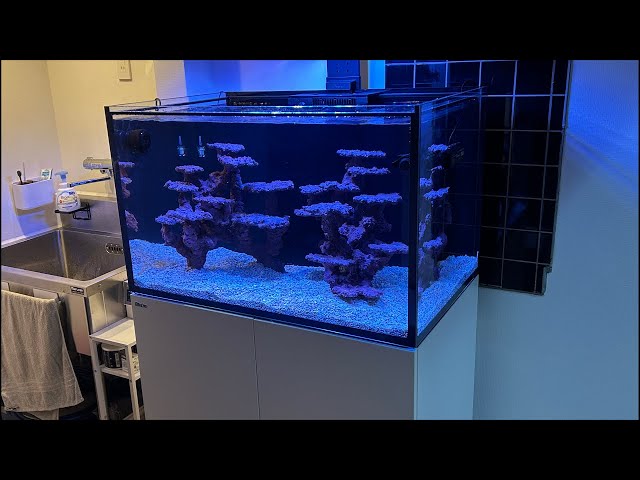 REEFER300 Suginami Ward Sequel] Custom layout lock creation and