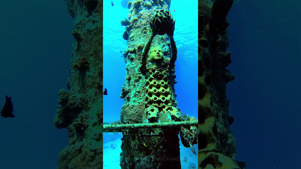 Hasta La Vista, Surface. 