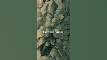 Stop Trying So Hard?! The SECRET to Effortless Success (Wu Wei)