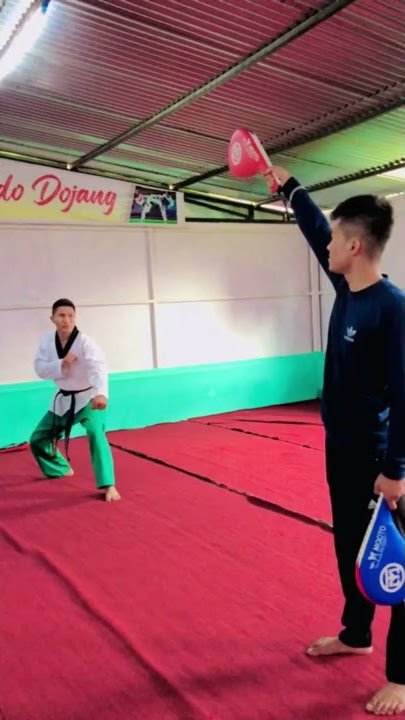 Taekwondo Kick 360 (Round Kick) Tutorial