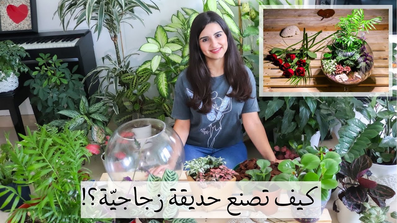 How to make a Terrarium?   الحلقة - 7 - من 