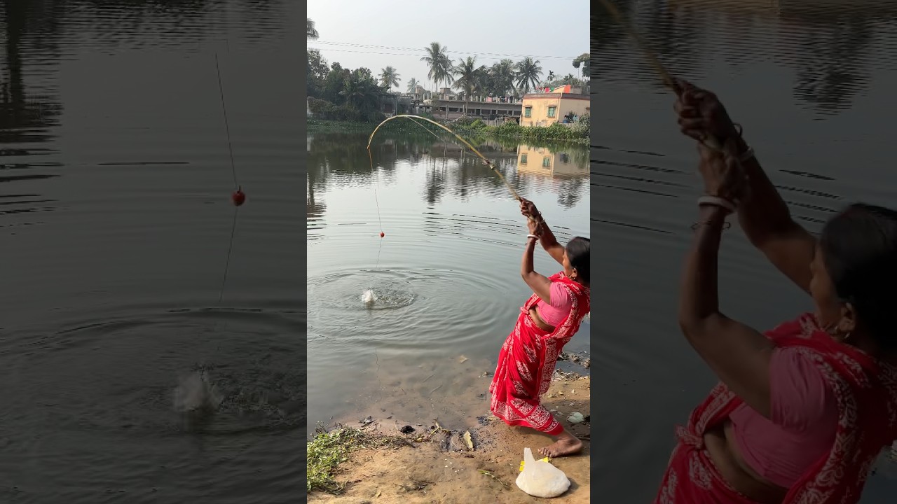 Unique hook fishing by Village lady In the pond 