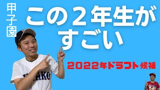 【夏の甲子園2021】注目の2年生！2022年ドラフト候補生5人を紹介します！