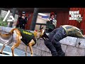 GTA 5 Roleplay - ARP - #442 - Bork Bork Nom Nom!