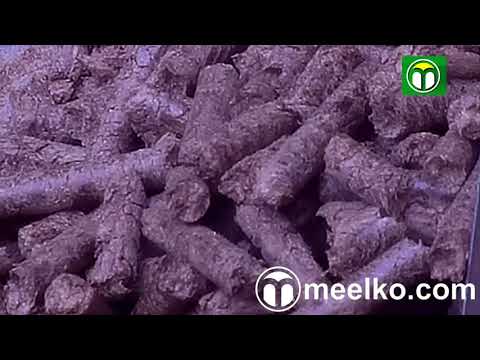 Ensayos de pellets de madera con peletizadora de matriz plana de 260 mm