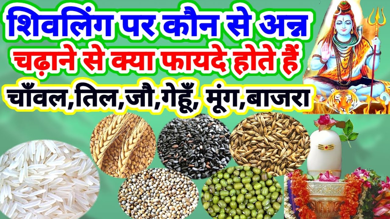 शिवलिंग पर कौन से अन्न चढ़ाने से क्या फायदे होते हैं,धन,सन्तान,ऐश्वर्य, सुख,शान्ति,समृद्धि,पद,रोजगार