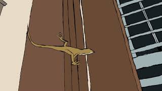 Behold The Anole