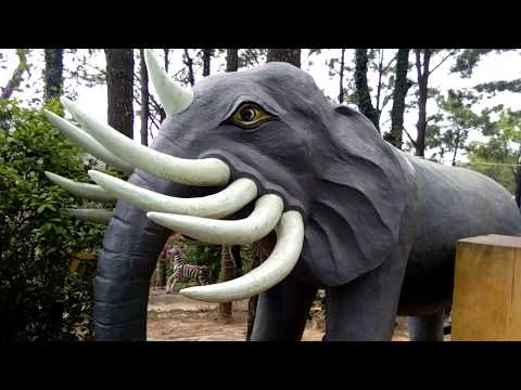 Video Xuất Hiện Voi Chín Ngà Ở Đồ Sơn, Vietnam travel - youtube