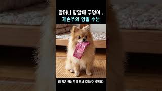 오늘의 효도 미션 : 양말 수선🧦