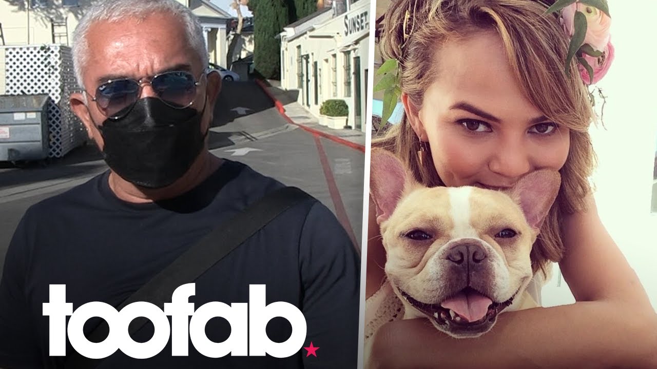 What Cesar Millan Thinks of Chrissy Teigen Quickly Replacing Her Beloved Late Dog | toofab