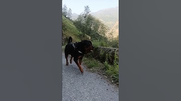 Setting goals is the first step in turning the invisible into the visible