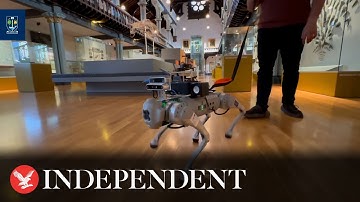 AI-powered robot guide dogs developed for visually impaired