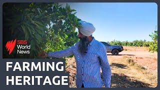 How a migrant family turned farming heritage into a thriving Australian agri-business