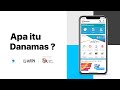 Apa itu danamas