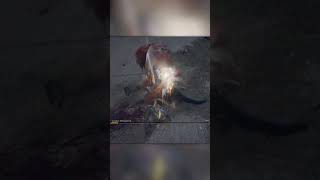 Elden Ring Bosses of Limgrave 2 @MattApocaalypse