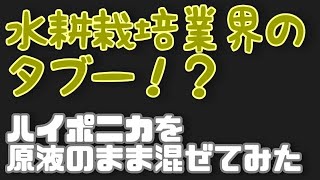 【水耕栽培大学】混ぜるなと言われるハイポニカを混ぜてみたらどうなるかやってみた！！