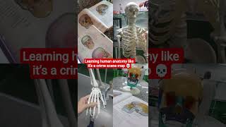 Silent bones, loud evidence. ☠️🔍#shortvideo #forensicscience #anatomy #science