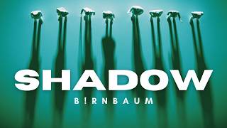 Brnbaum-Shadow-New Release Official Video-Poem By R. L. Stevenson