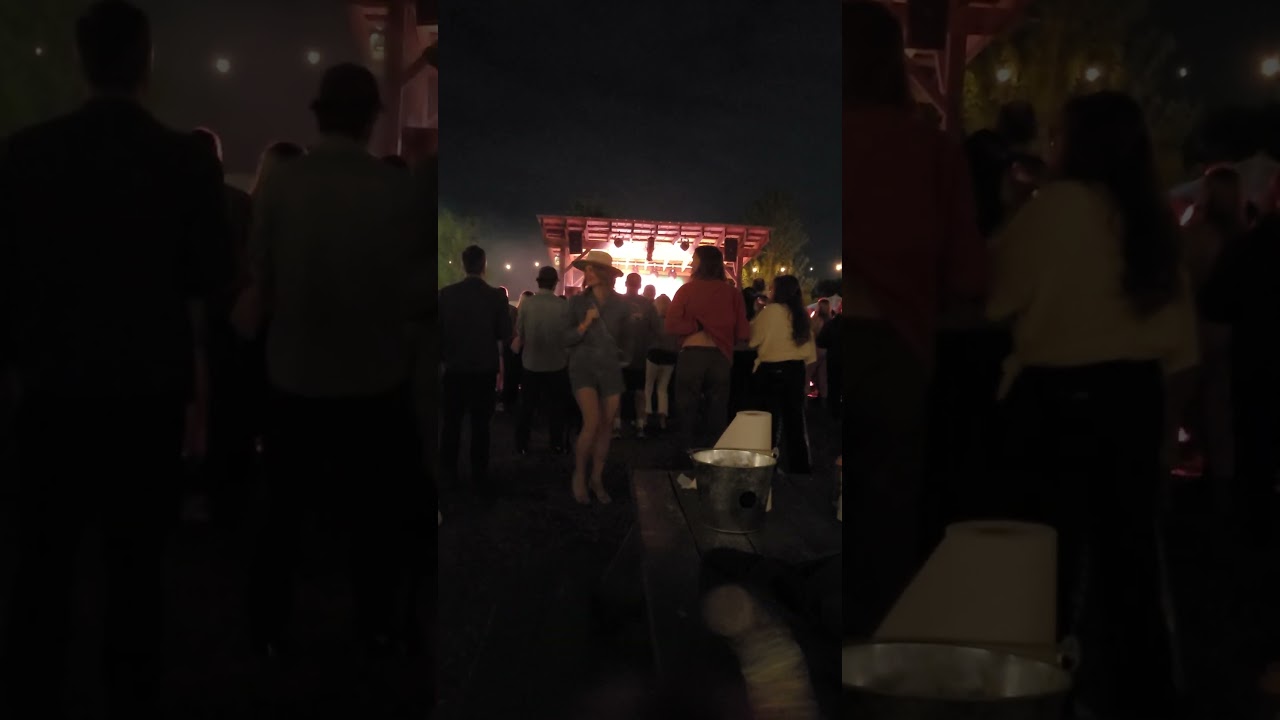 "You Wreck Me" ~ Full Moon Fever Brambly Park 4-19-2024 Richmond, VA 