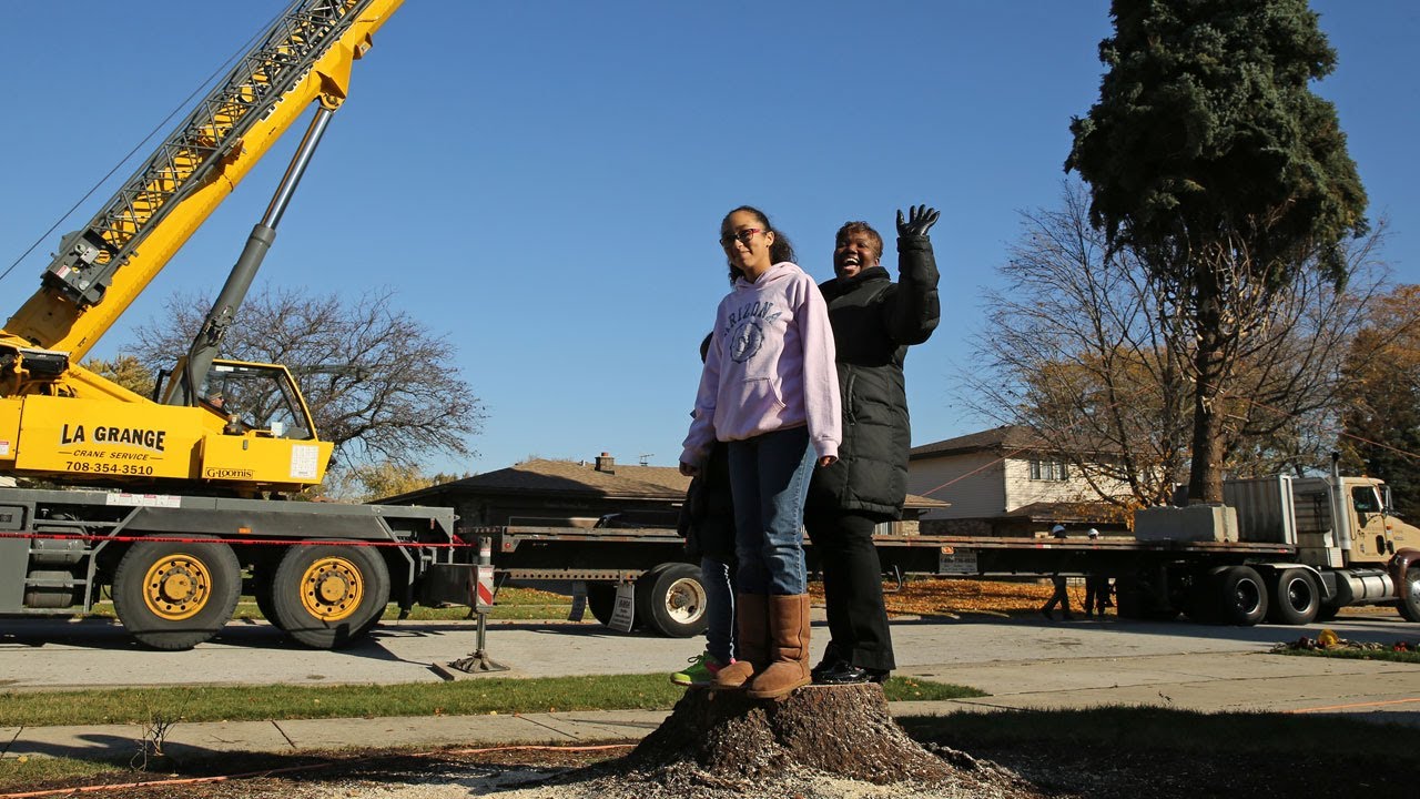 Daley plaza christmas tree 2025 hours
