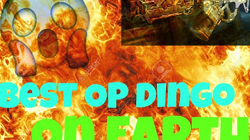 BO3:OVERPOWERED (DINGO GUN CLASS SETUP) !!! DINGO BEST CLASS LMG CLASS SETUP