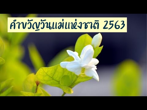 คำขวัญวันแม่ปี 2563 | คำขวัญวันแม่แห่งชาติ 2563 | คำขวัญวันแม่ 2563 | คำขวัญวันแม่แห่งชาติ | วันแม่