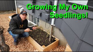 Growing Seedlings For Re-Forestation by S&J Forest Products 1,373 views 1 year ago 14 minutes, 44 seconds