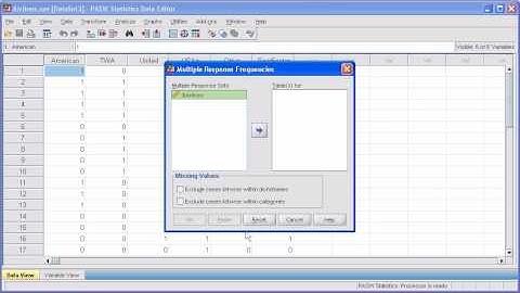 2.6 Multiple Response Sets - Frequency Analysis: PASW (SPSS) Statistics v.17 video